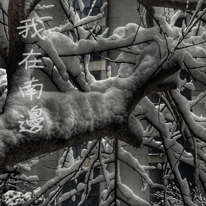 欧美激情性爱网ccoo
