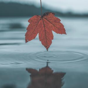 欧美激情性爱网ccoo
