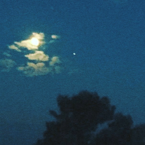 欧美激情性爱网ccoo
