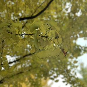 欧美激情性爱网ccoo
